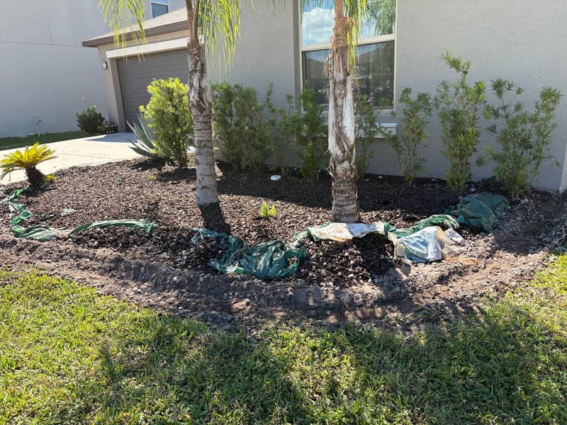 Before: Garden Bed Renovation