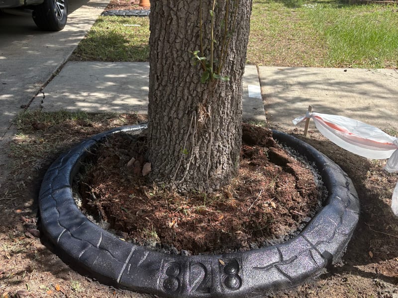 Decorative concrete curbing project