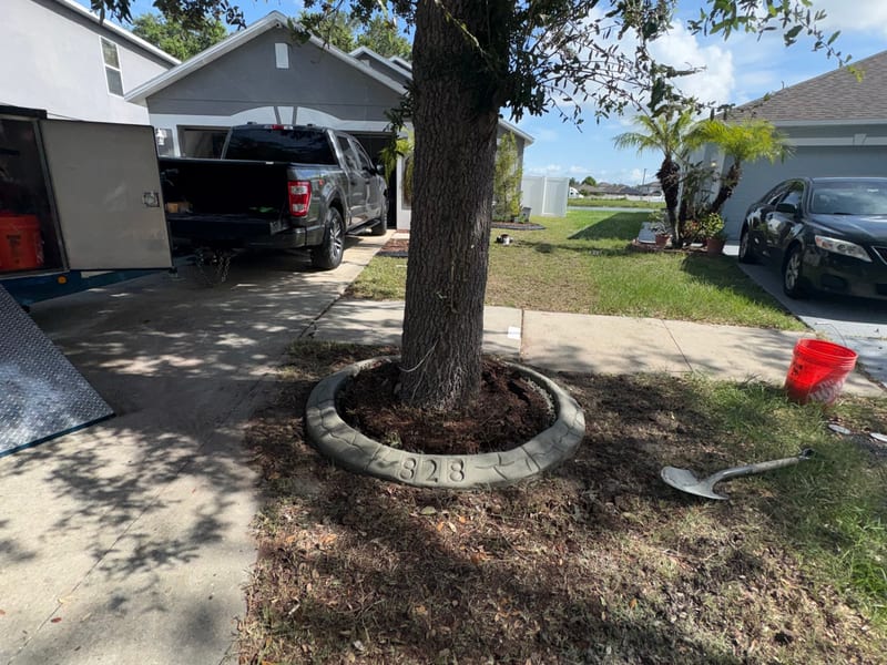 Garden bed edging